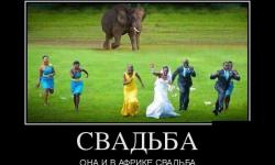 Свадьба она и в Африке свадьба