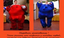 Народное голосование