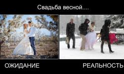 Свадьба весной