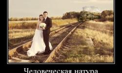 Человеческая натура